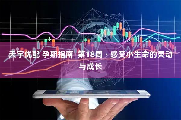 天宇优配 孕期指南  第18周 · 感受小生命的灵动与成长