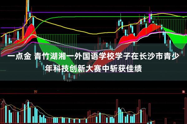 一点金 青竹湖湘一外国语学校学子在长沙市青少年科技创新大赛中斩获佳绩
